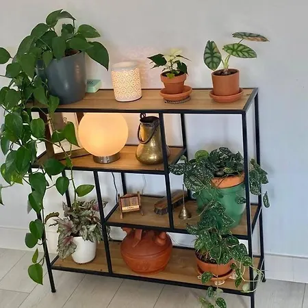 Soleado Con Garaje Appartement *